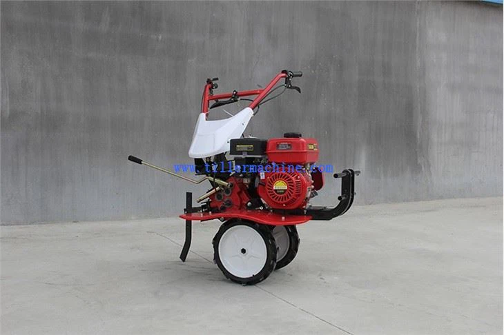 Multifunctional Tiller
